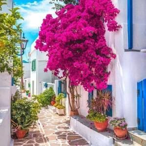 Meet your Posher, Diane